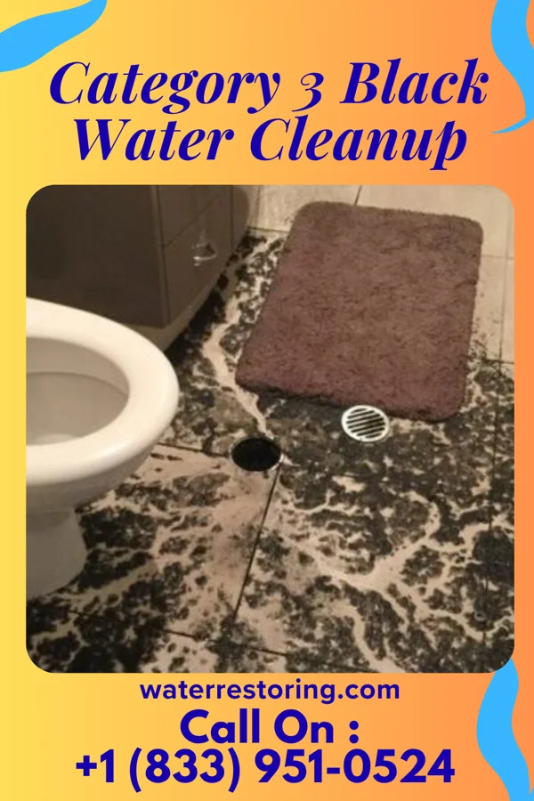 Category 3 Black Water Cleanup in Dry Ridge, OH