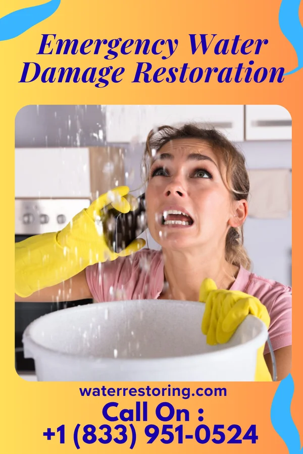 Emergency Water Damage Restoration in Dry Ridge, OH