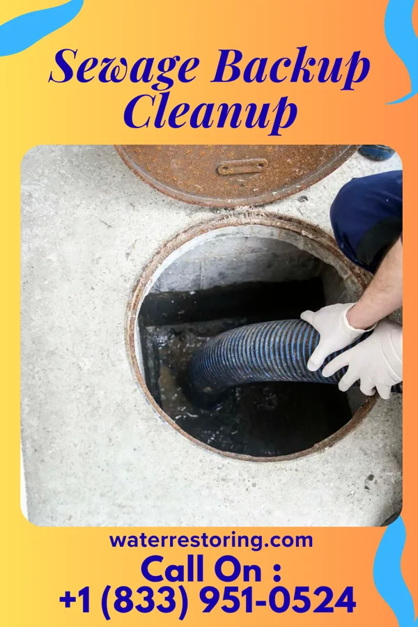 Sewage Backup Cleanup in Dry Ridge, OH